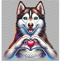 Valentine's Day-QRJ  4706